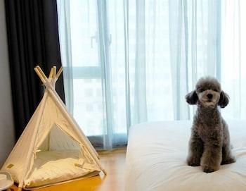 Peyto Gangnam Hotel Seoul